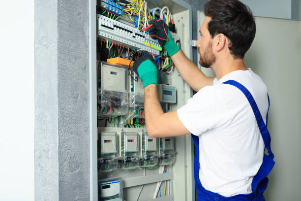 Best Electric Panel Repair  in Farmers Loop, AK