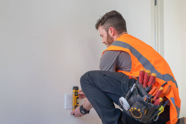 Best Electrician for Home Renovation  in Farmers Loop, AK